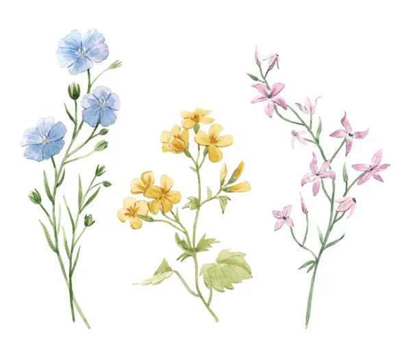 Beautiful floral set with watercolor gentle spring field flowers. Stock illustration. — Stock Photo, Image