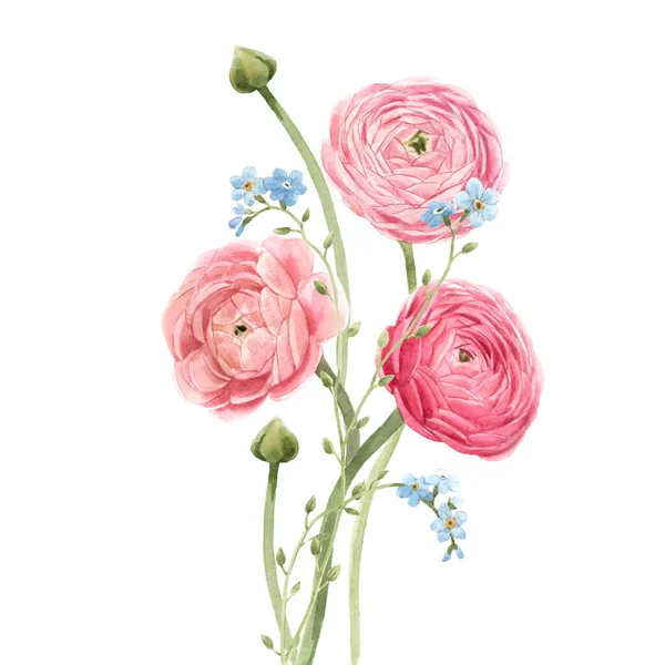 Όμορφη σύνθεση λουλουδιών με ακουαρέλα απαλά κόκκινα καλοκαιρινά λουλούδια. Απόθεμα εικονογράφηση μπουκέτο. — Φωτογραφία Αρχείου