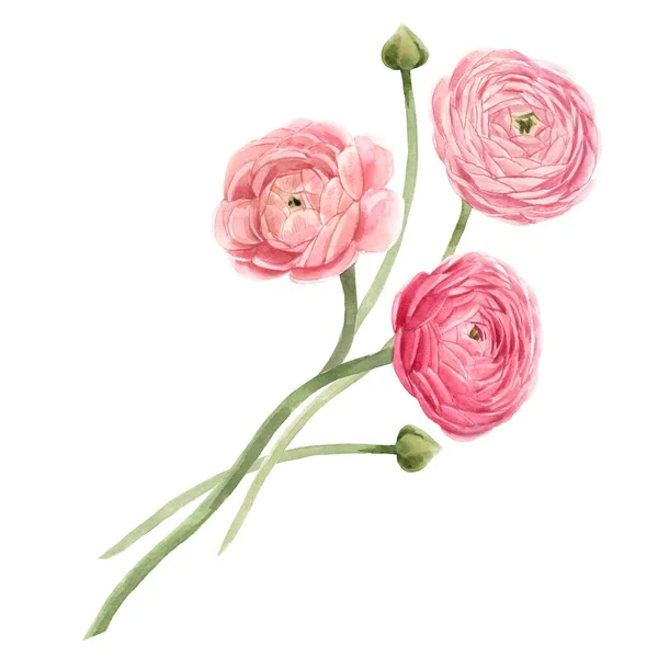 Schöne florale Komposition mit Aquarell sanft roten Sommerblumen. Aktienstrauß-Illustration. — Stockfoto