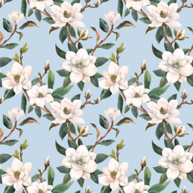 Elle çizilmiş suluboya beyaz manolya çiçekleriyle güzel, pürüzsüz bir desen. Stok illüstrasyonu.
