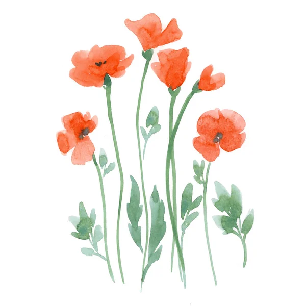 美丽的花束，手绘水彩画，柔和的红色春天罂粟花。存货花束图解. — 图库照片