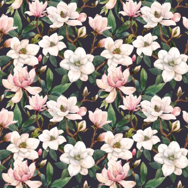 Elle çizilmiş suluboya, beyaz ve pembe manolya çiçekleri ile güzel, pürüzsüz bir desen. Stok illüstrasyonu.