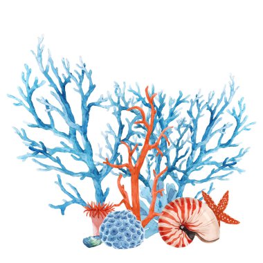 Suluboya deniz yaşamı mercan kabuğu ve deniz yıldızı ile çok güzel bir sualtı bileşimi. Stok illüstrasyonu.