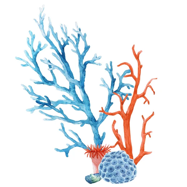 美丽的水下构图与水彩画海洋生物珊瑚壳和海星.库存说明. — 图库照片