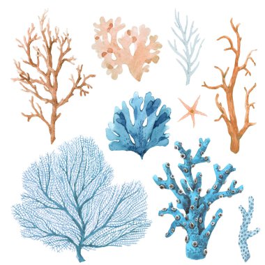 Suluboya elle çizilmiş mercan çizimleriyle çok güzel bir set. Deniz altı yaşamı.