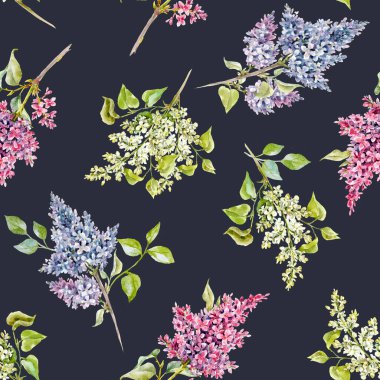 Güzel çiçekli, pürüzsüz desenli suluboya leylak çiçekleri. Stok illüstrasyonu.