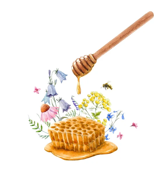 Gyönyörű kompozíció akvarell kézzel rajzolt méz kanállal és virágokkal. Készletillusztráció. — Stock Fotó