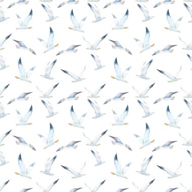 Şirin suluboya martıları olan, kusursuz, güzel bir vektör deseni. Stok illüstrasyonu.