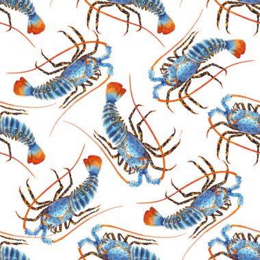 Suluboya elle çizilmiş gökkuşağı ıstakozlu, kusursuz deniz yaşamı deseni. Stok illüstrasyonu.