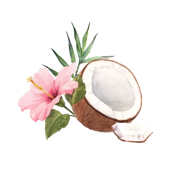 Krásná kompozice s akvarelem ručně kresleného kokosu a růžového ibišku. Stock illustration. — Stock fotografie