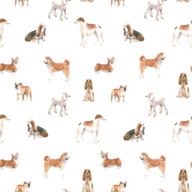 Şirin suluboya elle çizilmiş güzel desenli köpek Cocker spaniel Greyhound Basset av köpeği kaniş köpeği ve Galli corgi pembroke üretir. Stok illüstrasyonu.