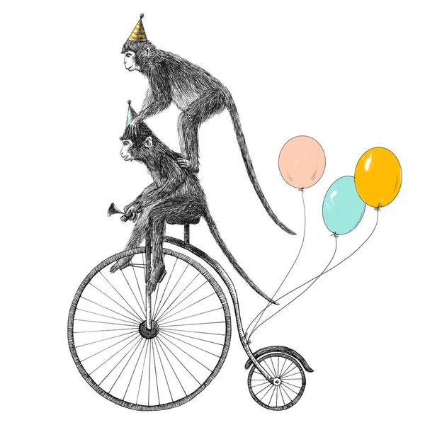 Иллюстрация с симпатичной нарисованной вручную обезьяной сафари на велосипеде с балончиками. День рождения. — стоковое фото