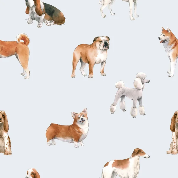 Beautiful seamless pattern with cute watercolor hand drawn dog breeds Cocker spaniel Greyhound Basset hound Poodle Bulldog and Welsh corgi pembroke . Stock illustration. — Stock Photo, Image