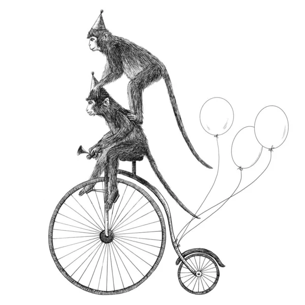 Иллюстрация с симпатичной нарисованной вручную обезьяной сафари на велосипеде с балончиками. День рождения. — стоковое фото