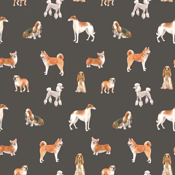 Beautiful seamless pattern with cute watercolor hand drawn dog breeds Cocker spaniel Greyhound Basset hound Poodle Bulldog and Welsh corgi pembroke . Stock illustration. — Stock Photo, Image