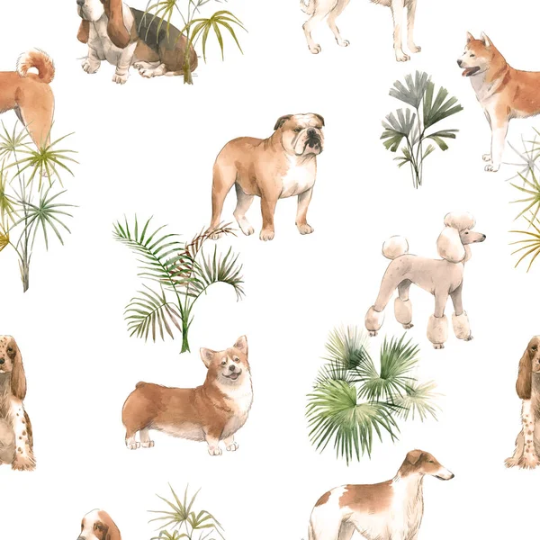 Piękny bezszwowy wzór z cute akwarela ręcznie rysowane rasy psów Cocker spaniel Greyhound Basset pies pies buldog i walijski corgi pembroke. Ilustracja. — Zdjęcie stockowe