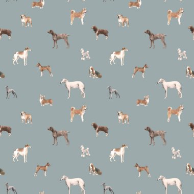 Şirin suluboya elle çizilmiş güzel desenli köpek Cocker spaniel Greyhound Basenji ve Rus Greyhound Whippet üretir. Stok illüstrasyonu.