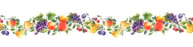 Elle çizilmiş suluboya, lezzetli yaz armudu, elmalı, vişneli, erikli, vişneli, güzel, yatay, pürüzsüz desen. Stok illüstrasyonu.