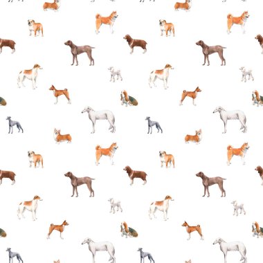 Şirin suluboya elle çizilmiş güzel desenli köpek Cocker spaniel Greyhound Basenji ve Rus Greyhound Whippet üretir. Stok illüstrasyonu.