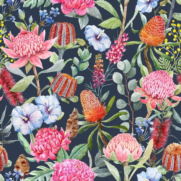 Beautiful seamless pattern with hand drawn watercolor protea banksia and other australian flowers. Stock illustration.