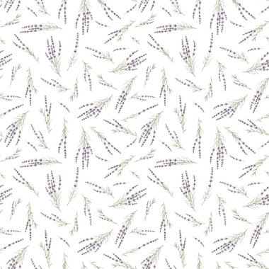 Güzel, pürüzsüz çiçek desenli suluboya elle çizilmiş lavanta çiçekleri. Stok illüstrasyonu.