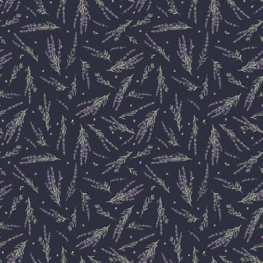 Güzel, pürüzsüz çiçek desenli suluboya elle çizilmiş lavanta çiçekleri. Stok illüstrasyonu.