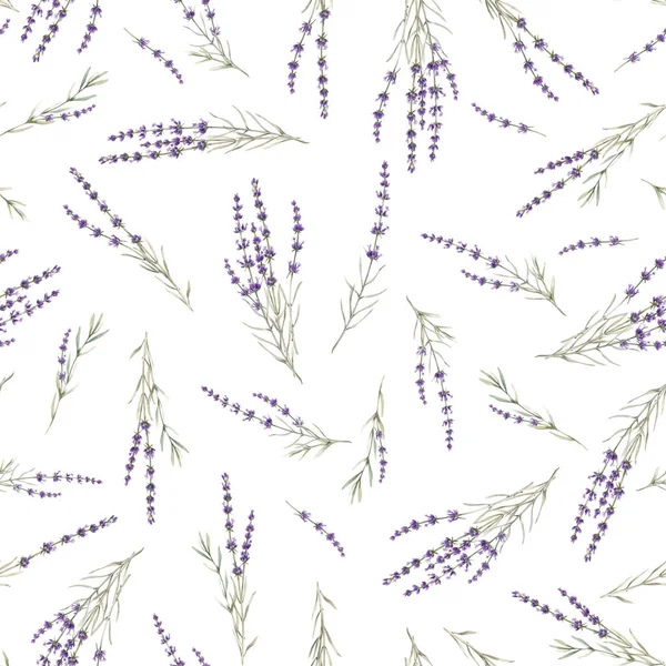 Beautiful seamless floral provence pattern with watercolor hand drawn gentle lavander flowers. Stock illustration. — Stock Photo, Image