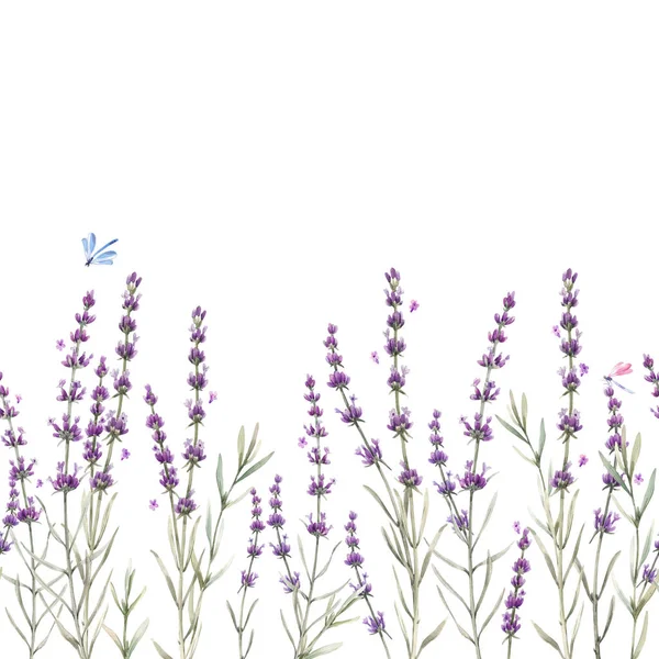 美丽的无缝合花普罗旺斯图案与水彩画手绘淡紫色花。库存说明. — 图库照片