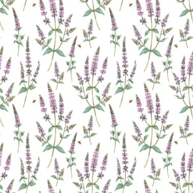 Çiçeksiz desenli, elle çizilmiş suluboya nane çiçekleri. Stok illüstrasyonu.