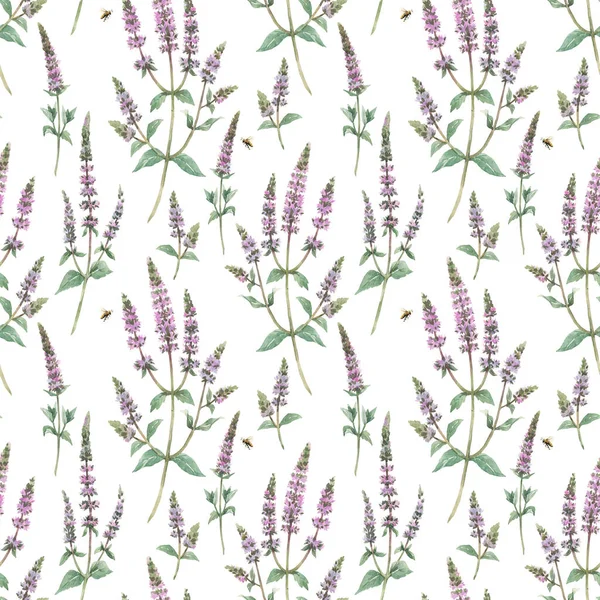 Beautiful floral seamless pattern with hand drawn watercolor spearmint flowers. Stock illustration. — Stock Photo, Image