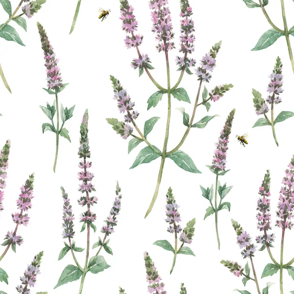 Schöne florale nahtlose Muster mit handgezeichneten Aquarell-Minzblüten. Archivbild. — Stockfoto