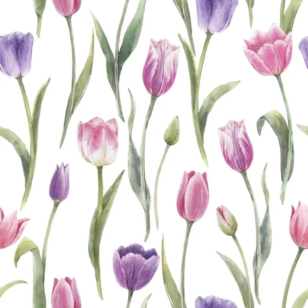 Bellissimo motivo floreale senza soluzione di continuità con fiori di tulipano acquerello disegnati a mano. Illustrazione delle scorte. — Foto Stock