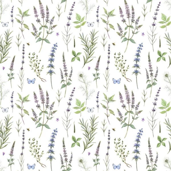 Beautiful floral seamless pattern with hand drawn watercolor spearmint flowers. Stock illustration. — Stock Photo, Image
