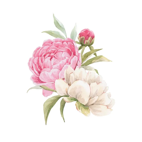 Krásná květinová kompozice s ručně kreslené akvarel jemná růžová pivoňka kytice. Osvětlení skladu. — Stock fotografie