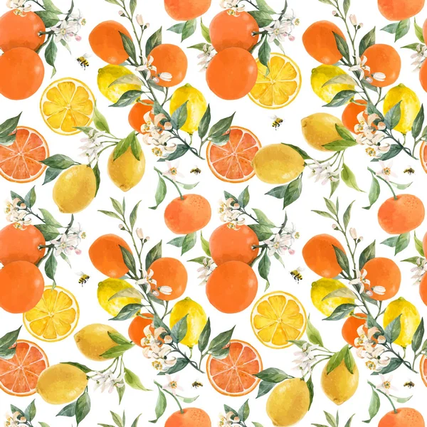 Mooie vector naadloos patroon met aquarel hand getrokken citrus sinaasappel citroen grapefruit vruchten. Voorraadillustratie. — Stockvector