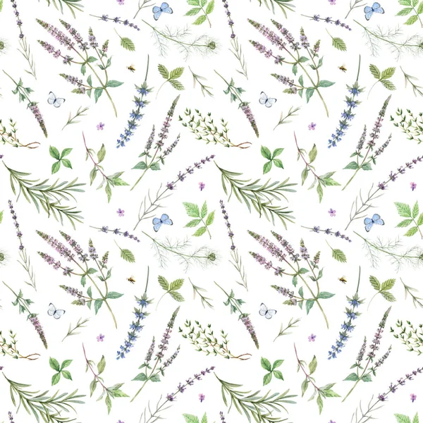 Beautiful seamless floral pattern with hand drawn watercolor gentle mint flowers and other herbs. Stock illuistration. — Stock Photo, Image