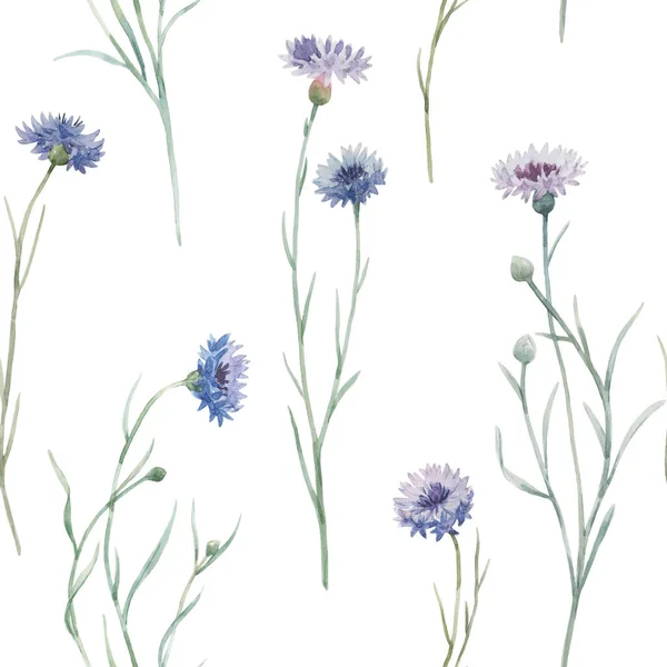 Piękny bezszwowy kwiatowy wzór z ręcznie rysowane akwarela delikatne dzikie kwiaty polne chaber. Ilustracja zapasów. — Zdjęcie stockowe