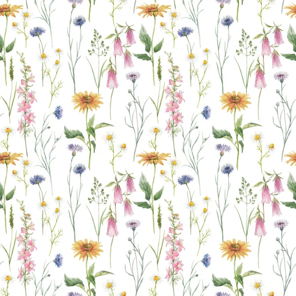 Schöne nahtlose florale Muster mit handgezeichneten Aquarell sanfte wilde Feldblumen Kornblume. Aktienillusion. — Stockfoto