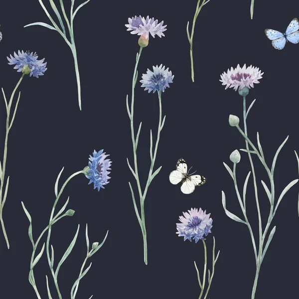 Όμορφη απρόσκοπτη floral μοτίβο με ζωγραφισμένα στο χέρι ακουαρέλα ήπια άγρια λουλούδια τομέα cornflower. Εικονογράφηση αποθεμάτων. — Φωτογραφία Αρχείου