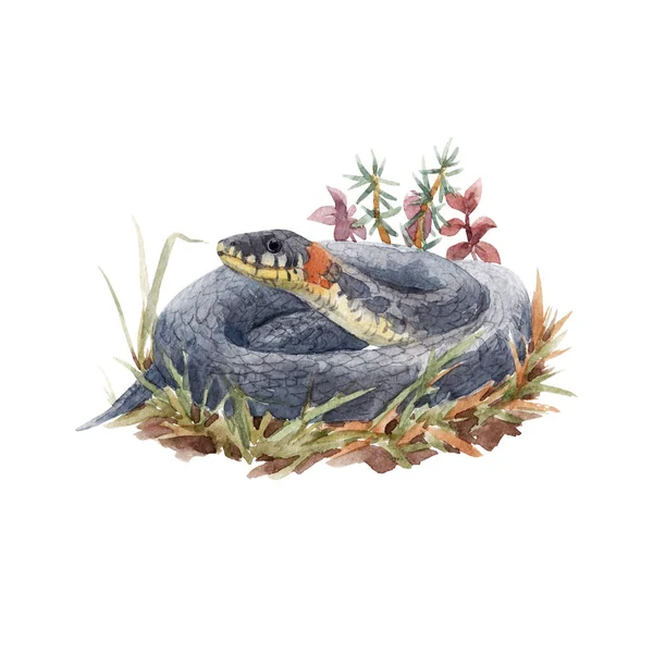 Belle illustration animale de stock avec aquarelle naturelle mignonne composition dessinée à la main de serpent et de plantes forestières. — Photo
