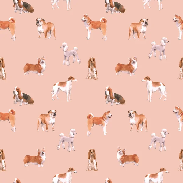 Padrão sem emenda vetor bonito com bonito aquarela mão desenhada raças de cães Cocker spaniel Greyhound Basset cão Poodle Bulldog e galês corgi pembroke. Ilustração das existências. — Vetor de Stock