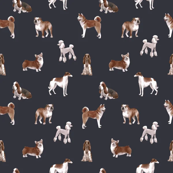 Piękny wektor bezszwowy wzór z cute akwarela ręcznie rysowane rasy psów Cocker spaniel Greyhound Basset Pies Pudel Buldog i walijski corgi pembroke. Ilustracja. — Wektor stockowy