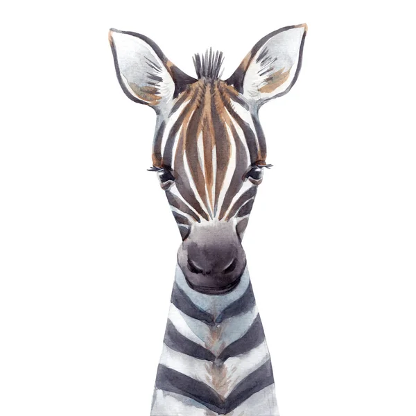 Beautiful animal portrait with hand drawn watercolor cute baby zebra. Stock illustration — Stock Photo, Image