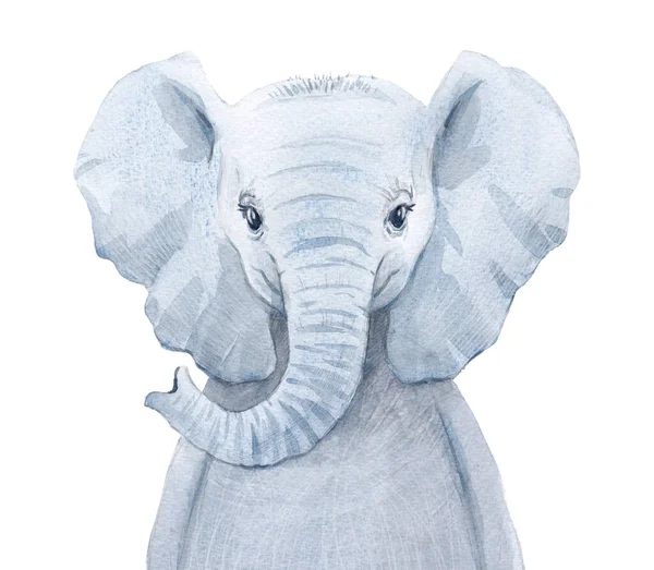 Beautiful animal portrait with hand drawn watercolor cute baby elephant. Stock illustration — Stock Photo, Image