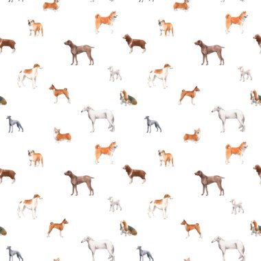 Şirin suluboya el çizimi köpekli, mükemmel, otototantik vektör deseni Cocker spaniel Greyhound Basenji ve Rus Greyhound Whippet üretir. Stok illüstrasyonu.