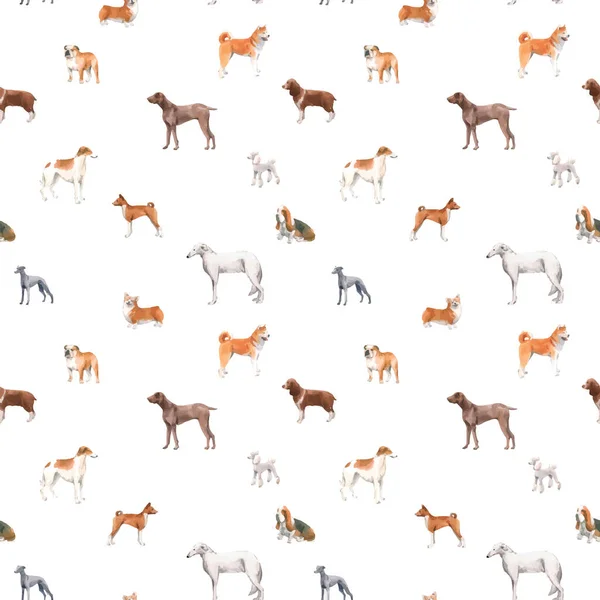 Beautiful autotraced vector seamless pattern with cute watercolor hand drawn dog breeds Cocker spaniel Greyhound Hound Basenji and Russian Greyhound Whippet . Stock illustration. — Stock Vector