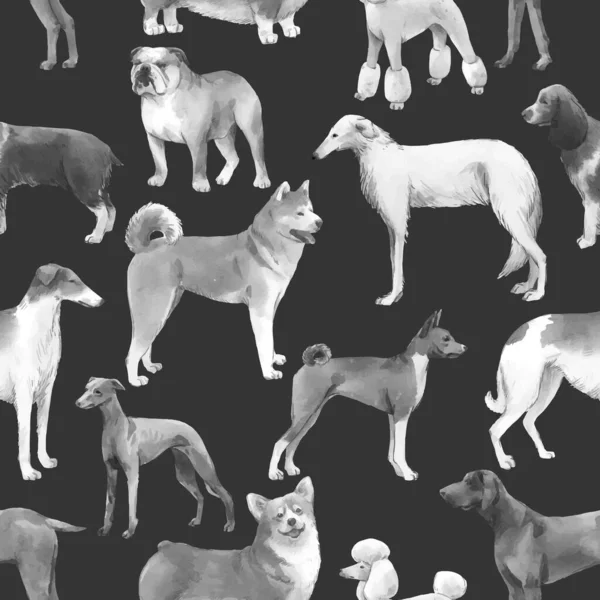 Piękny autotraced wektor bezszwowy wzór z cute ręcznie rysowane rasy psów Cocker spaniel Greyhound Hound Basenji i rosyjski Greyhound Whippet. Ilustracja. — Wektor stockowy