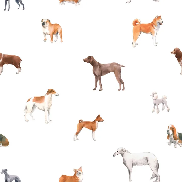 Beautiful autotraced vector seamless pattern with cute watercolor hand drawn dog breeds Cocker spaniel Greyhound Hound Basenji and Russian Greyhound Whippet . Stock illustration. — Stock Vector