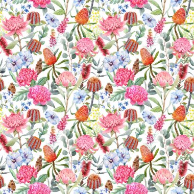 Elle çizilmiş suluboya protea banksia ve diğer Avustralya çiçekleriyle mükemmel bir otototaj deseni var. Stok illüstrasyonu.