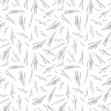 Güzel vektörsüz çiçek desenli suluboya elle çizilmiş lavanta çiçekleri. Stok illüstrasyonu.